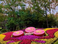 -上海共青森林公园