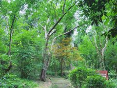 -南京市江宁方山