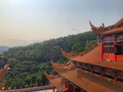 -东莞市大岭山森林公园