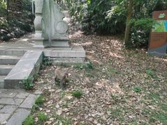 -苏州上方山国家森林公园