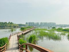 -荷花大观园