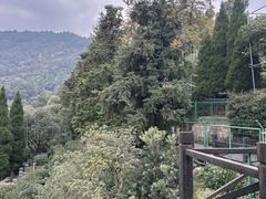 -树山生态村