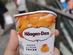 -哈根达斯(深圳海岸城店)