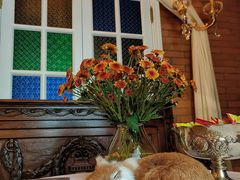 -叶叶菩提(太原别墅店)