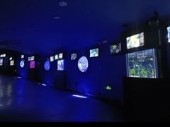 -烟台海昌鲸鲨海洋公园