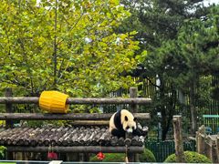 -大连森林动物园