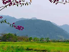 -和顺古镇