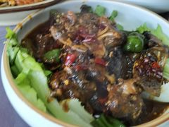 特色甲鱼-佳佳麻辣烧菜馆
