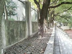 -湖北中医药大学(昙华林校区)