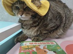 -瑞虹新天地月亮湾