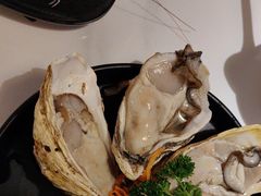 -蚝大仙横琴生蚝火锅(日月贝店)