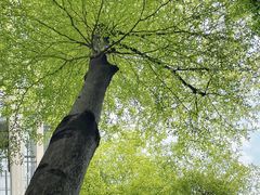 -广州市第二少年宫