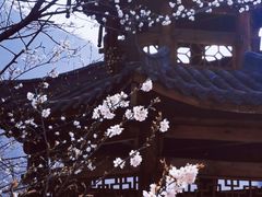 -光雾山旅游景区