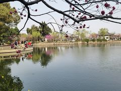-无锡蠡湖国家湿地公园-蠡园