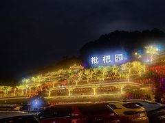 -枇杷园食为鲜火锅(南山店)