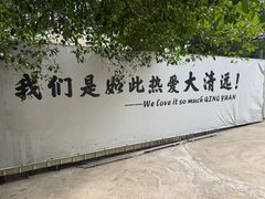 -芭厘·农庄老字号.电饭煲五指毛桃焗鸡