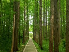 -同里国家湿地公园