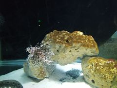 -邯郸海洋世界