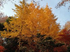 -莹珠阁·私房菜