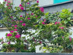 -厝味火锅·潮汕卤水火锅(十一合店)
