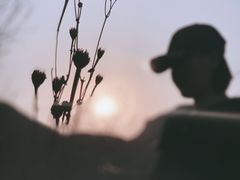 -狼牙山风景区