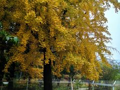 -国家植物园南园