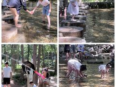 -洛阳白云山景区