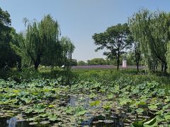 -梁鸿国家湿地公园