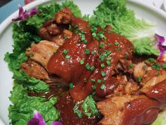 -津悦·正阳春烤鸭(红旗南路店)
