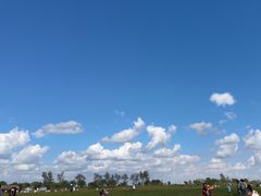 -盐城丹顶鹤湿地生态旅游区
