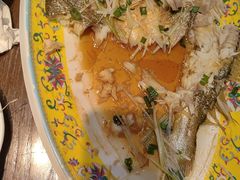 -俏东方·海味水饺·青岛菜(崂山店)