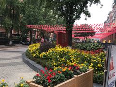 -神仙树公园