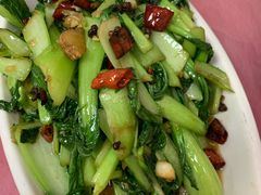 干煸青菜-乐乐餐厅(湘子庙街店)