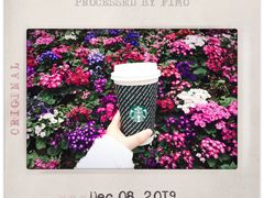 -星巴克臻选(重庆沙坪坝店)