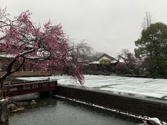 -杭州西子湖四季酒店-WL BISTRO西湖餐厅(灵隐路店)