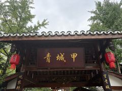 -青城甲(青城山店)