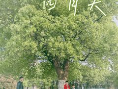 -艾溪湖湿地公园