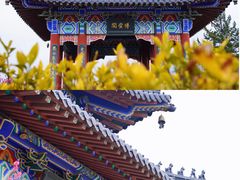 -梅花山(明孝陵内)