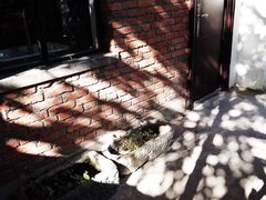 -大理床单厂艺术区