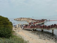 -养马岛旅游度假区