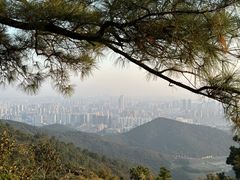 -惠山国家森林公园