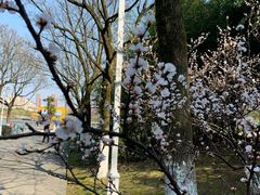 -白塘生态植物园