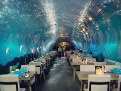 -涛·海底餐厅·美人鱼·自助餐·海底隧道(三亚海棠湾洲际度假酒店)
