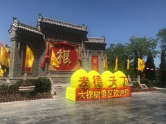 -大槐树寻根祭祖园