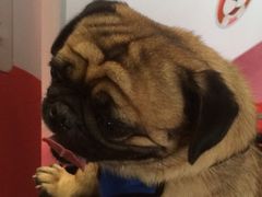 iphone_upload_pic-东浩兰生上海世博展览馆