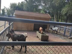 -长白岛森林公园