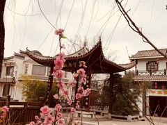 -济南方特东方神画