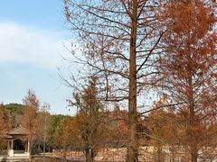 -同里国家湿地公园