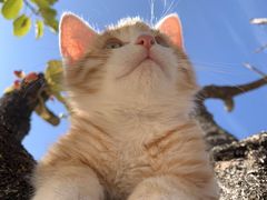 -CGWANG王氏教育(上海校区)