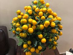 -细村农贸综合市场